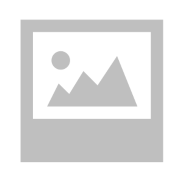 BOGE Filtr wlotowy 569008501P BOGE Filtr wlotowy 569008501P